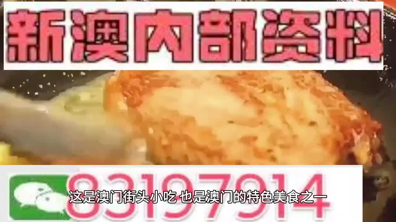 新奥门特免费资料大全管家婆料,精选资料解析大全