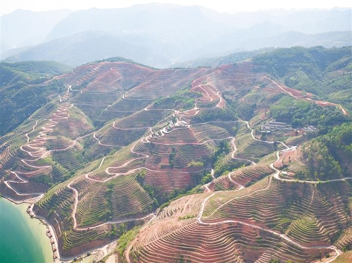 探索师宗招聘的新天地，58同城平台的力量